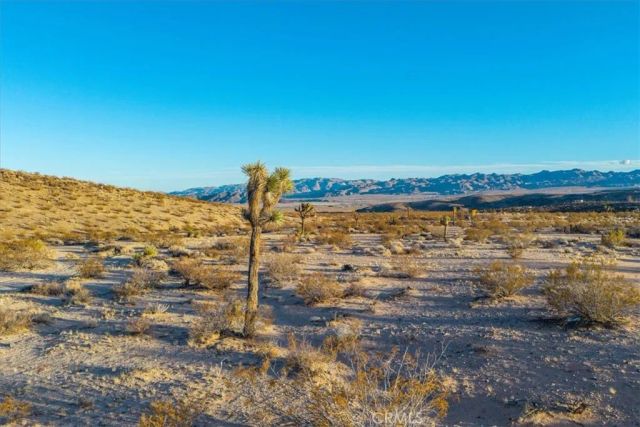 3025 Flamingo, Joshua Tree, CA 92252