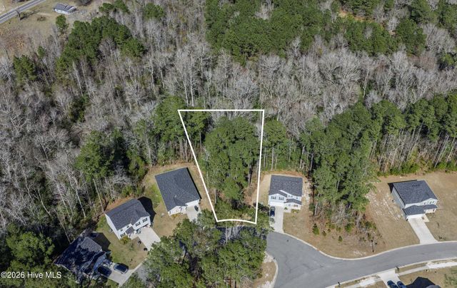 2607 Twin Leaf Court SE, Bolivia, NC 28422