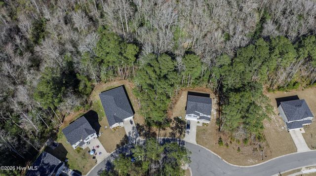 2607 Twin Leaf Court SE, Bolivia, NC 28422