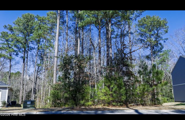 2607 Twin Leaf Court SE, Bolivia, NC 28422