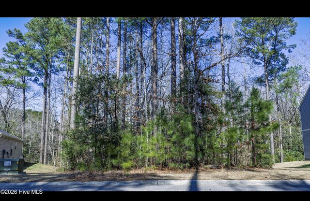 2607 Twin Leaf Court SE, Bolivia, NC 28422