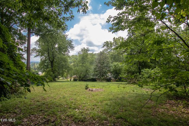 417 Meadow Drive, Bristol, VA 24201