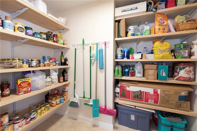 9735 Deerfield Place, Kirtland, OH 44094