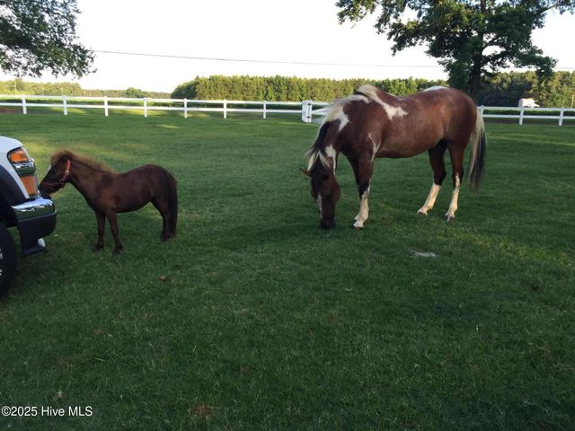 4998 Peacock Road, Whiteville, NC 28472