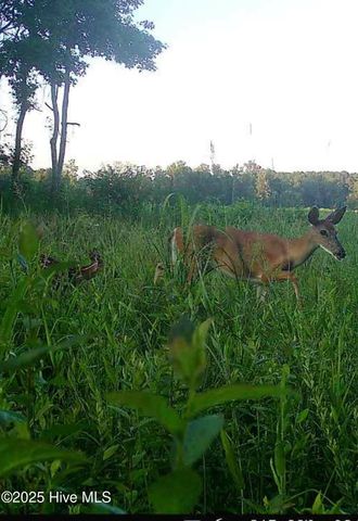 4998 Peacock Road, Whiteville, NC 28472