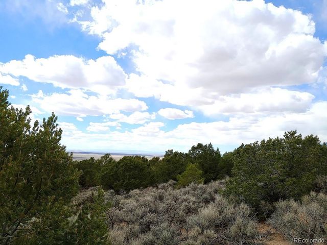 Lot 1258 Michaels Road, Fort Garland, CO 81133