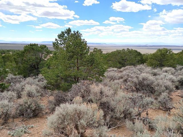 Lot 1258 Michaels Road, Fort Garland, CO 81133