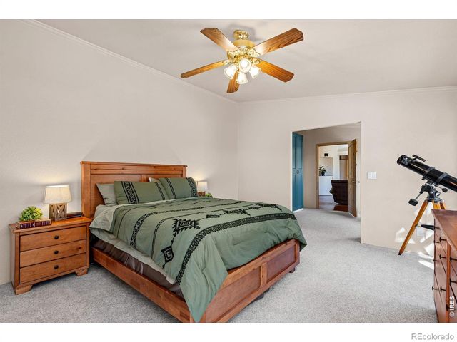 39 Mount Sherman Court, Livermore, CO 80536