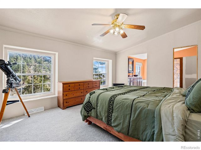 39 Mount Sherman Court, Livermore, CO 80536