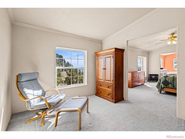 39 Mount Sherman Court, Livermore, CO 80536