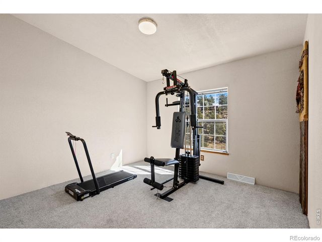 39 Mount Sherman Court, Livermore, CO 80536