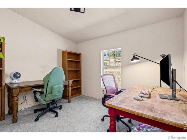 39 Mount Sherman Court, Livermore, CO 80536