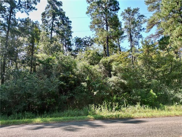 TBD Pavlock Road, Navasota, TX 77868