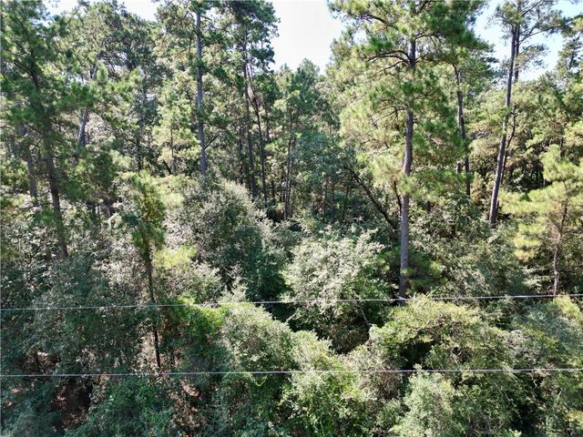 TBD Pavlock Road, Navasota, TX 77868