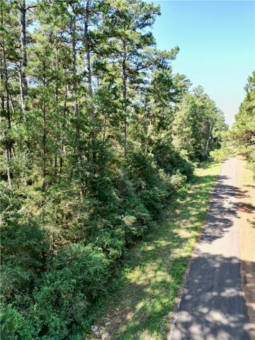 TBD Pavlock Road, Navasota, TX 77868