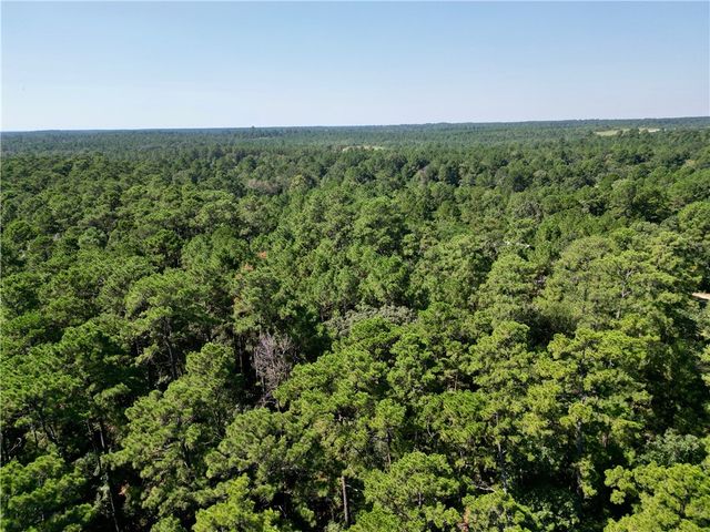 TBD Pavlock Road, Navasota, TX 77868