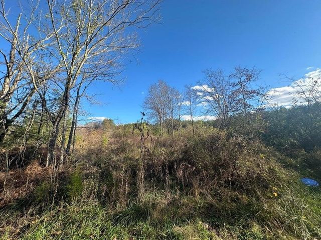 0 Mt Carmel Road, Decatur, TN 37322