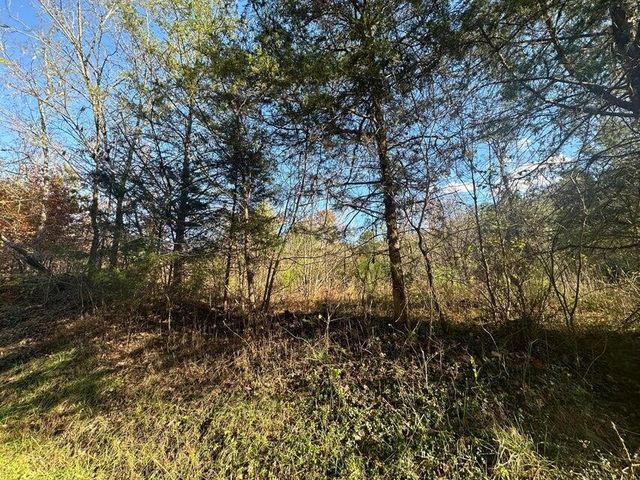 0 Mt Carmel Road, Decatur, TN 37322