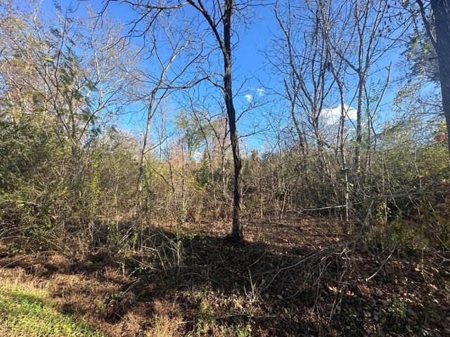 0 Mt Carmel Road, Decatur, TN 37322