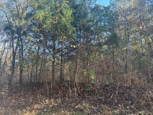 0 Mt Carmel Road, Decatur, TN 37322