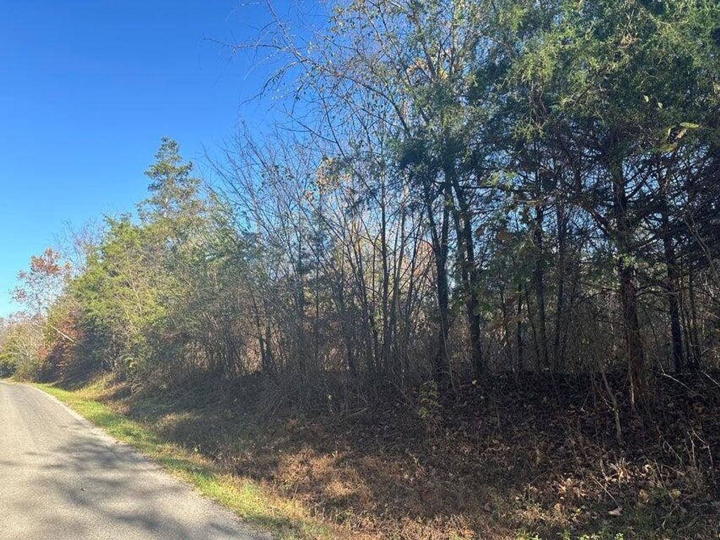 0 Mt Carmel Road, Decatur, TN 37322