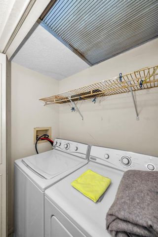 4411 SHADY TERRACE LANE 115, Tampa, FL 33613