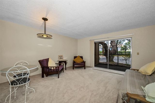 4411 SHADY TERRACE LANE 115, Tampa, FL 33613