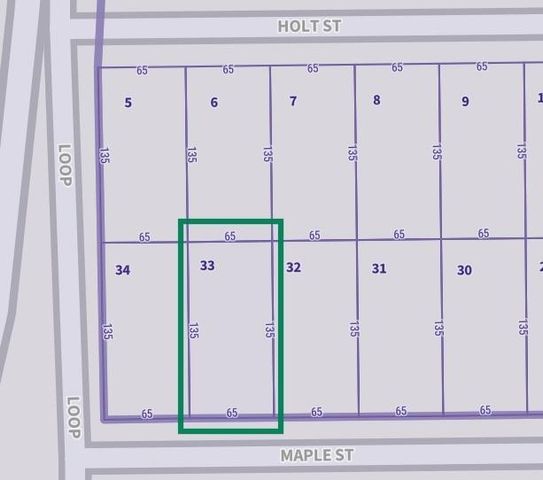 4626 Maple Street, Bellaire, TX 77401