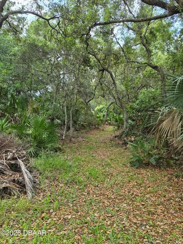 4082 Acoma Drive, Ormond Beach, FL 32174