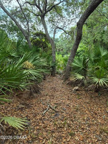 4082 Acoma Drive, Ormond Beach, FL 32174