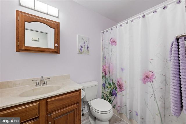 16335 BACK RD, Strasburg, VA 22657