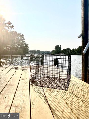 37420 RIVER SPRINGS RD, Avenue, MD 20609