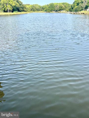 37420 RIVER SPRINGS RD, Avenue, MD 20609