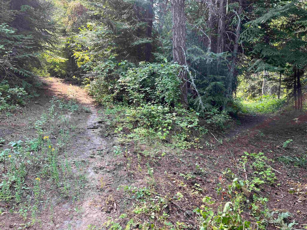 27XX Records Rd, Addy, WA 99114