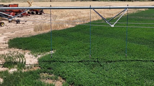 45533 County Rd 38.9, Trinidad, CO 81082