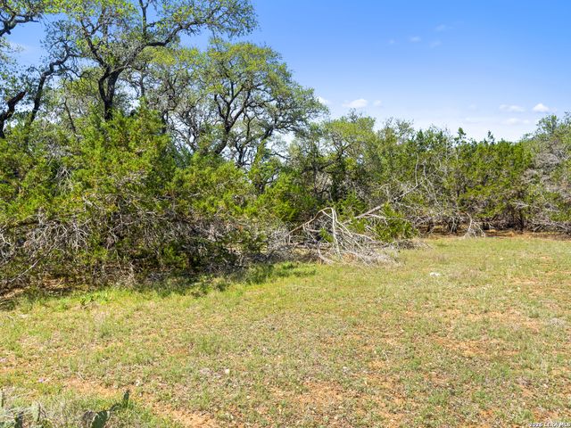 1530 Misty Lane, Spring Branch, TX 78070