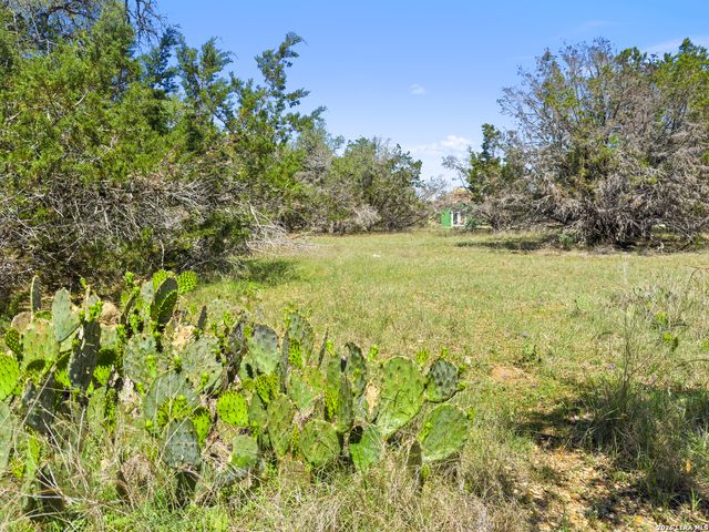 1530 Misty Lane, Spring Branch, TX 78070