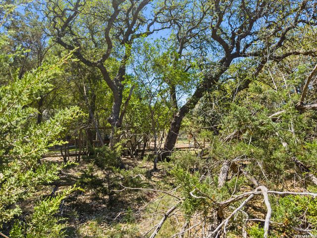 1530 Misty Lane, Spring Branch, TX 78070