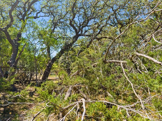 1530 Misty Lane, Spring Branch, TX 78070