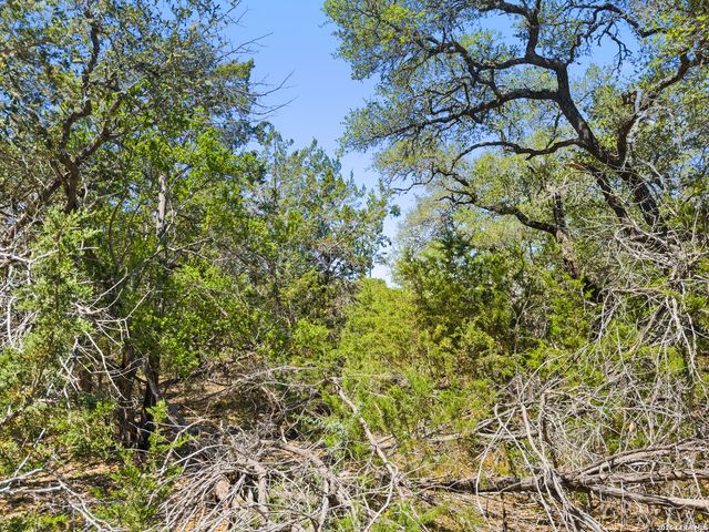 1530 Misty Lane, Spring Branch, TX 78070