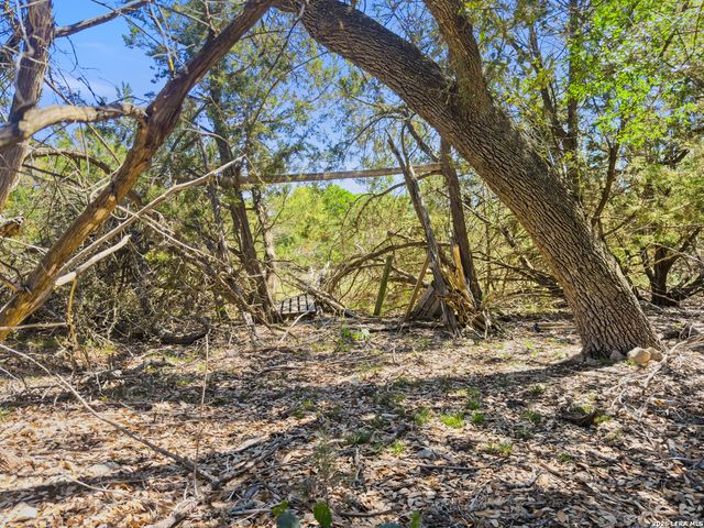 1530 Misty Lane, Spring Branch, TX 78070
