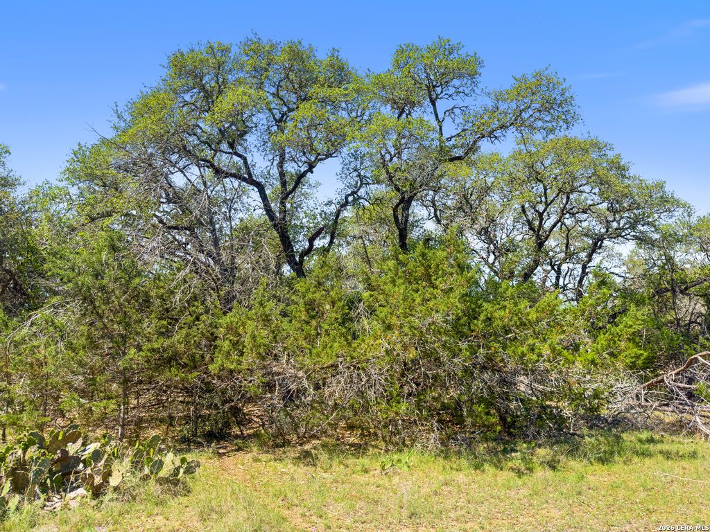 1530 Misty Lane, Spring Branch, TX 78070