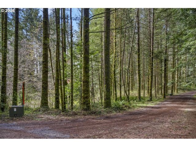 121 PACIFIC Rd, Stevenson, WA 98648