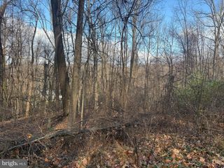 LOT 22 HICKORY TREE RD, Front Royal, VA 22630