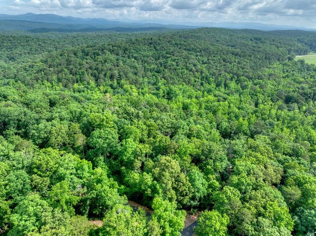 Lt 61 North Harris Creek Dr, Ellijay, GA 30540