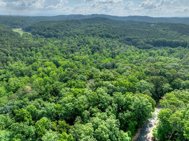 Lt 61 North Harris Creek Dr, Ellijay, GA 30540