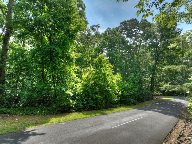 Lt 61 North Harris Creek Dr, Ellijay, GA 30540