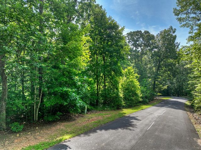 Lt 61 North Harris Creek Dr, Ellijay, GA 30540