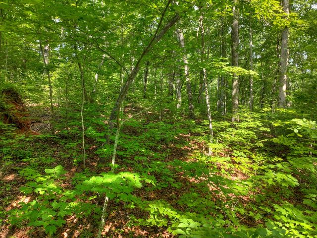 Lt 61 North Harris Creek Dr, Ellijay, GA 30540