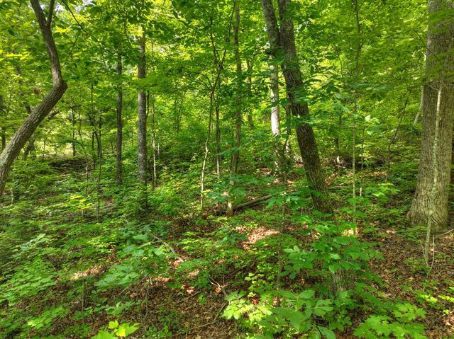 Lt 61 North Harris Creek Dr, Ellijay, GA 30540
